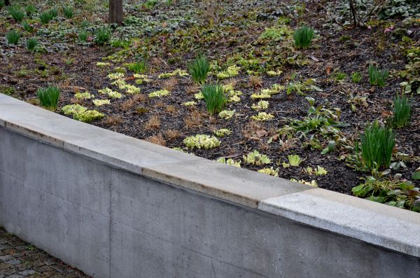Concrete Wall Construction in Mission Viejo