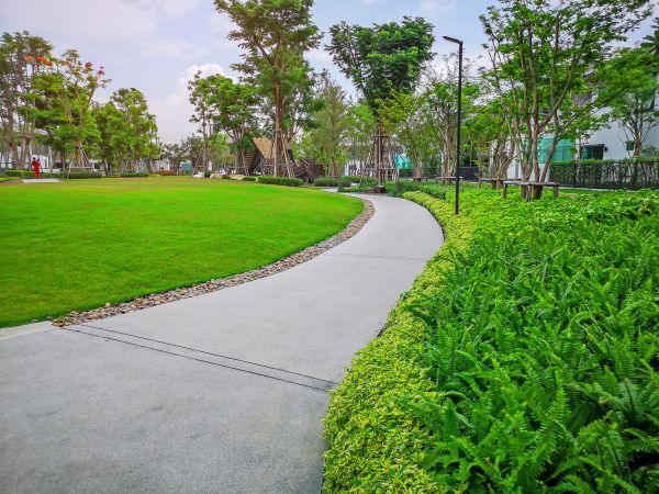 Cement Walkway Service in Mission Viejo