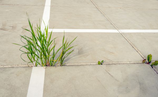 Concrete Parking Installation in Mission Viejo