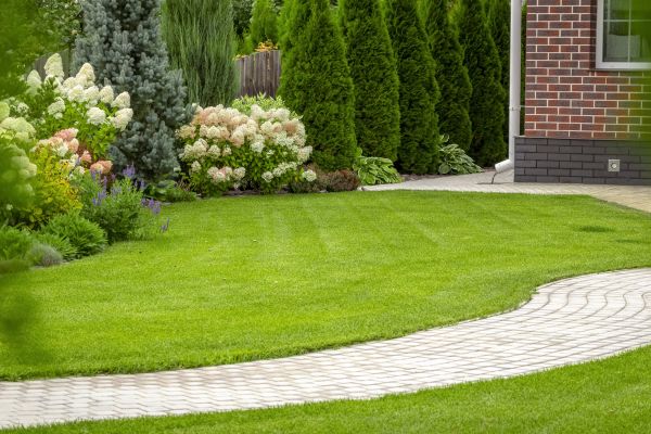 Landscape Walkway Installation in Mission Viejo
